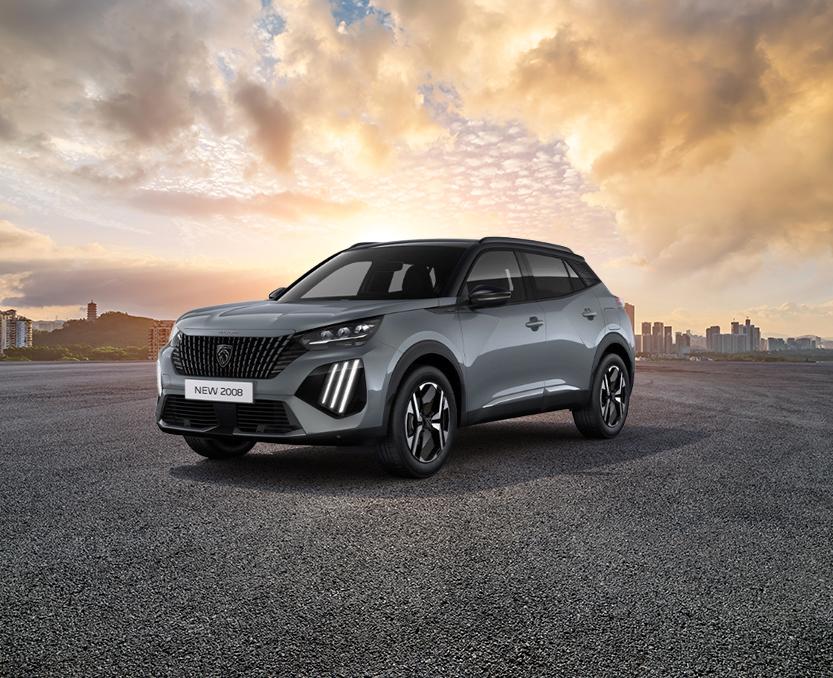 Panel Peugeot 2008 Fl